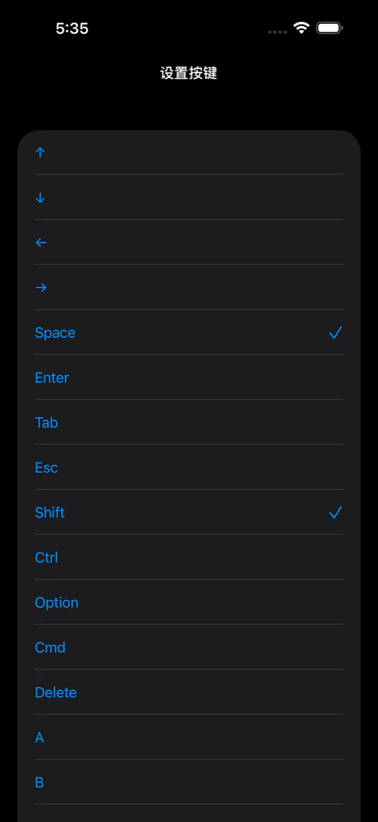 iPhone 上的“设置按键”画面：一排按键列表，Space 与 Shift 两个都打了勾。